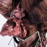 ABRE ALAS #17, Allan Weber, Muita luta, 2021