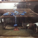 Maria Nepomuceno, A Casa em que nasci / The house where I was born, 2007