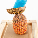 Carlos Vergara, EROS, 1972-2010