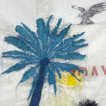 Ana Silva, Sem título [Untitled], 2023