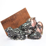 Rodrigo Torres, Da seiva ao canto, 2022