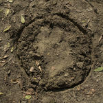 Maria Laet, Imersão [immersion], 2019/2020