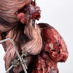 ABRE ALAS #17, Allan Weber, Muita luta, 2021