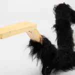 ABRE ALAS #17, Allan Weber, Muita luta, 2021