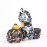 Rodrigo Torres, Da seiva ao canto, 2022