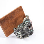 Rodrigo Torres, Da seiva ao canto, 2022