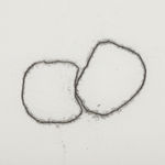 Maria Laet, sem título (casa) [untitled (home)], 2013-2018