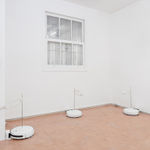 Ana Linnemann, Natureza-morta (fruteira e maçã), 2018-2022