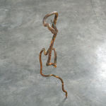 Rodrigo Torres, Da seiva ao canto, 2022