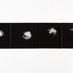 Maria Laet, Sustentação (II), 2010/2020