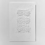 Samar Hejazi, Transgressed Boundaries, 2020