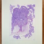 Faris Alshafar, Phantom Palette, 2020