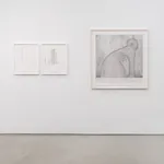 Martin Puryear, Métissage/Camouflage, 2016