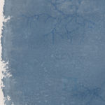 Ricardo Brey, Three Branches of Red Cedar, 2021