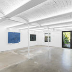 Ricardo Brey, Interrupted Fern, 2021