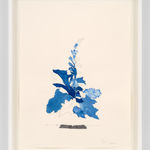 Ricardo Brey, Trumpet Roots, 2021