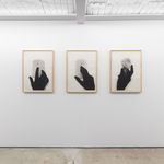 Regina Silveira, Plugged 1-3, 2011