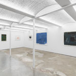 Ricardo Brey, Interrupted Fern, 2021