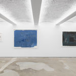 Ricardo Brey, Interrupted Fern, 2021