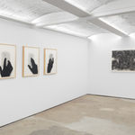 Regina Silveira, Plugged 1-3, 2011