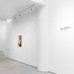 Joan Semmel, Side Light, 2020