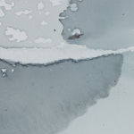 Ciro Duclos, Choclo, 2022