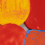 Serban Ionescu, Red Pool House, 2023