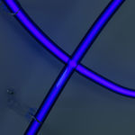 Daan Gielis, Wilting Flower (#2), 2022