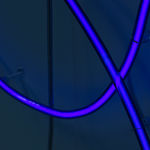 Daan Gielis, Wilting Flower (#2), 2022