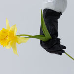 Victor Delestre, Two Bees, 2022