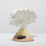 Daan Gielis, Wilting Flower (#2), 2022