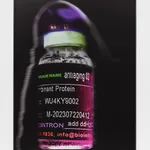 Lynn Hershman Leeson, A Compromised Future, 2025