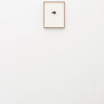 Lynn Hershman Leeson, Eye Protection For Reality, 2020