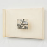 Grant Mooney, Cation c. (v), 2024