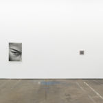 Victoria Gitman, On Display, 2010