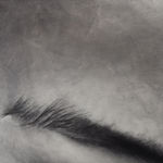 Alexandre Zhu, Two-Speed, 2025