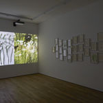 Joan Jonas, Mirror performance III, 1969