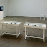 Shimabuku, Sculpture for Octopuses: Exploring for Their Favorite Colors, 2010