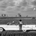 David Yarrow, Bad Asses II