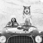 Thumbnail of additional image