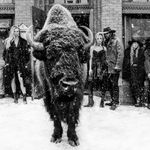 David Yarrow, The Siberians