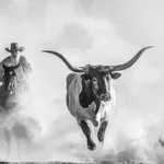 David Yarrow, Ode to Edward Curtis, 2026