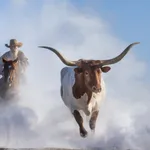 David Yarrow, Ode to Edward Curtis, 2026