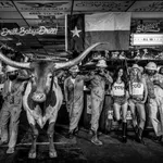 David Yarrow, Bad Asses II