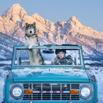 Thumbnail of additional image