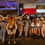 David Yarrow, Bad Asses II