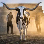 David Yarrow, Ode to Edward Curtis, 2026