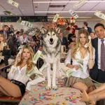 Thumbnail of additional image