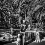 David Yarrow, Get the FXXX Off My Boat II