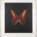 Damien Hirst Memento print for sale